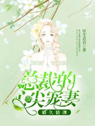 婚久情深:总裁的心尖宠妻 婚久情深:总裁的心尖宠妻