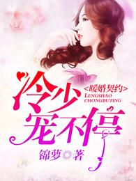 暖婚契约:冷少,宠不停 暖婚契约:冷少,宠不停