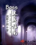 BOSS养成指南 BOSS养成指南