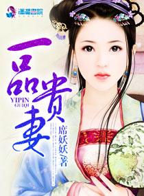 一品贵妻 一品贵妻
