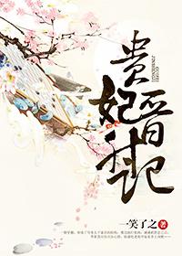 贵妃晋升记 贵妃晋升记