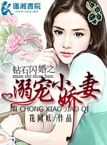 钻石闪婚之溺宠小娇妻 钻石闪婚之溺宠小娇妻