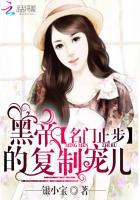 名门止步:黑帝的复制宠儿 名门止步:黑帝的复制宠儿